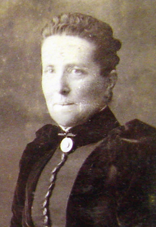 Steer, J.